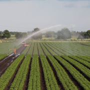 Fields leak carbon as drought threatens soil