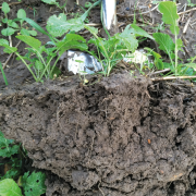 Be wary of paying twice over for SFI applications