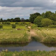 Plan to extend agricultural inheritance tax relief