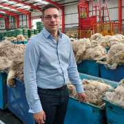 Optimism despite ‘global pressure’ on wool prices