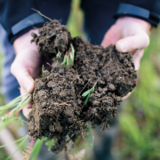 Revamped SFI scheme aims to improve soil health