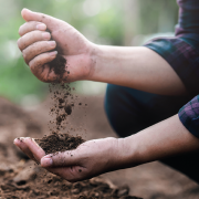 How soil analysis can improve productivity and reduce costs