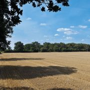 Nine-year high for eastern region farmland values