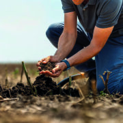 First early payments made under Sustainable Farming Incentive