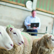 New career development service helps to boost farm skills