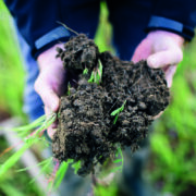 More farmers measure soil organic content