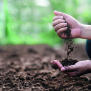 How monitoring soil carbon content can boost productivity