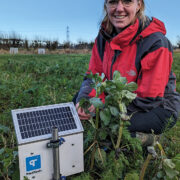 Soil study reveals benefits of regenerative agriculture