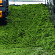 Welcome relief from early first cut silage