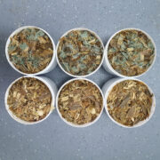 How silage additive helps ensure maize quality