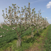 Update on capital grants expected ‘early this year’