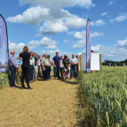 Trials day prepares region’s growers for harvest