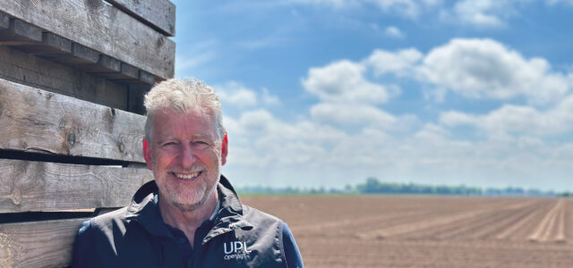 Expert tips on managing potato volunteers