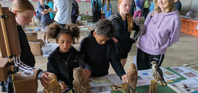 Open Farm Sunday cultivates better public understanding