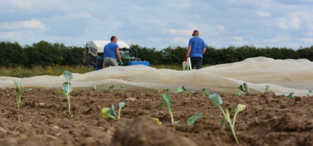 Labour shortages and tech reshape farming