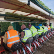 Defra review raises ‘serious concerns’ for horticulture