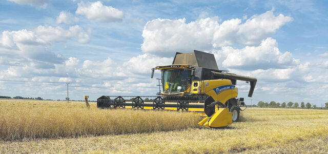UK cereal harvest is ‘variable at best’