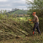 £150m in capital grants: act now to secure share