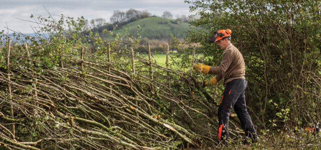 £150m in capital grants: act now to secure share