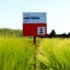 Winter barley ‘still has rotational benefits’