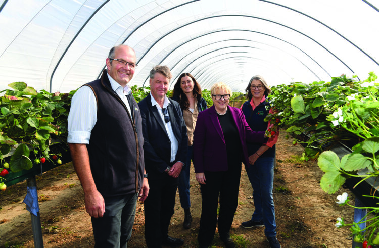 Demand for action on food security