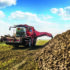 Just-in-time approach urged for sugar beet