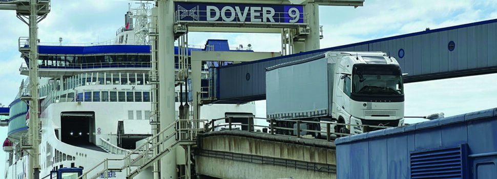 Illegal meat imports spark disease warning