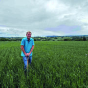 Revolution, restoration, resilience