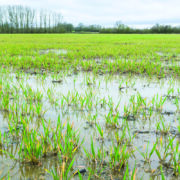 How better soil health reduces input costs