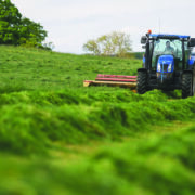 Wet winter forces reset on grass and forage