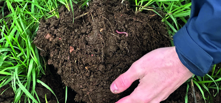 Demonstration farm planned to showcase drills