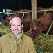 Farmer cuts feed bill with home-grown grain