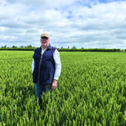 Old favourite continues to deliver for premium wheat growers