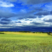 £10m guide price for Cambridgeshire farm