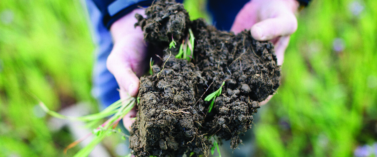 Soil health reshapes land values