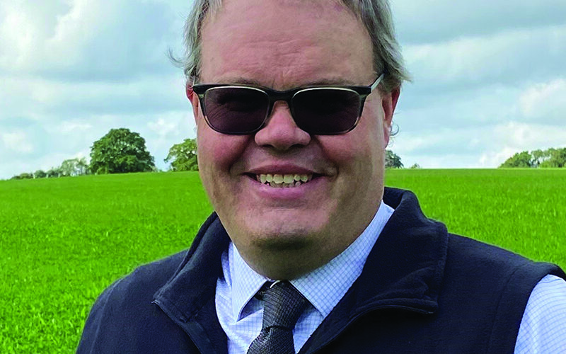Budget forage after slump in grass growth