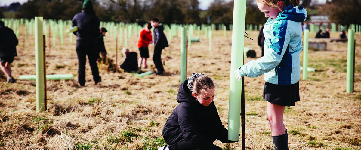 Trees for Climate expands woodland partnership