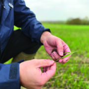 Hub targets better returns from phosphate spending
