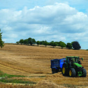 Late blight risk threatens potato crops as rain returns