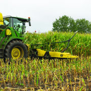 BSPB drops site ratings to simplify maize choice