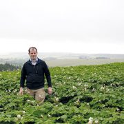 Seed potato exporters take action after Brexit devastates business