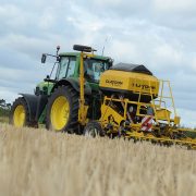 Wheat area rebounds as oilseed rape continues to decline