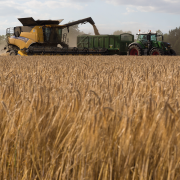 Latest KWS spring barley meets multiple demands