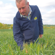 Trials help farmers grow more from less