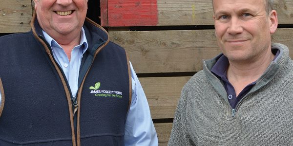 Marketing key to getting best from potatoes