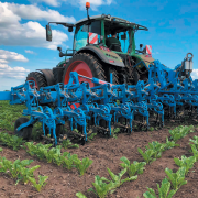 Delayed drilling compresses spring spray programmes