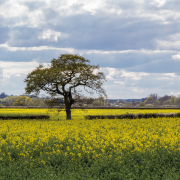 Farming incentive ‘stacks up for most growers’