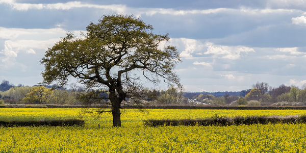 Farming incentive ‘stacks up for most growers’