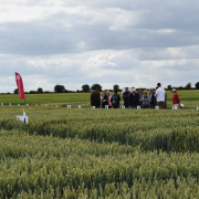 Regional trials’best for cropvariety decisions’