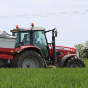 Consider urea options carefully next season